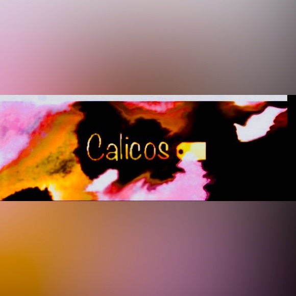 Calicos 🏷 Hollywood’s hidden Street Artist Stars are the Clothes wearing people - Picture 3 of 5